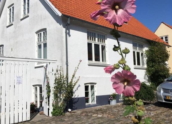 Hyggelig lille lejlighed