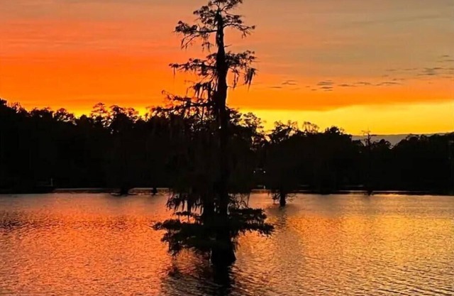 Iatt Lake Cabins and Kayaks Fish House