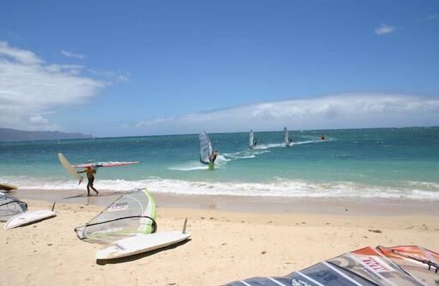 Ideal Spot! Pet-Friendly, Close to Kanaha Pond Wildlife Sanctuary