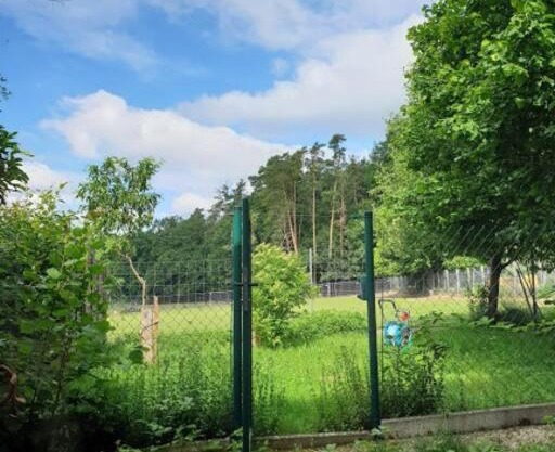 Idyllische Ferienwohnung im Grünen