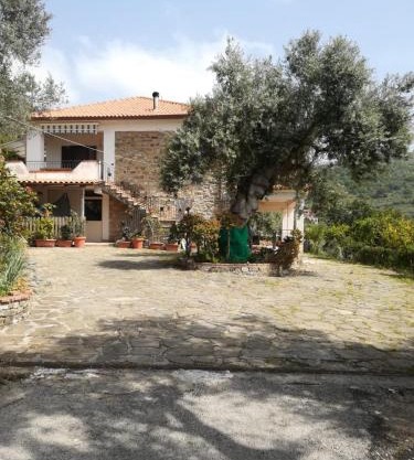 IL CONTE DI MARRAONE