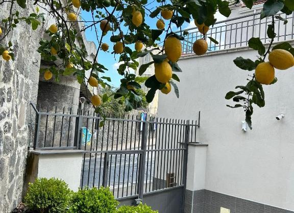 Il Ponte a Vapore Guest House