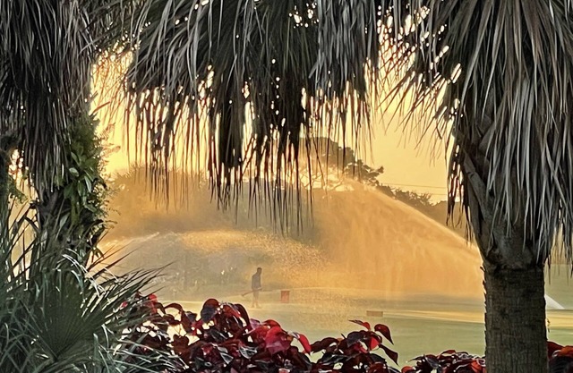 Immaculately maintained 4 bd 3 ba home feat private pool on LaPlaya golf course.