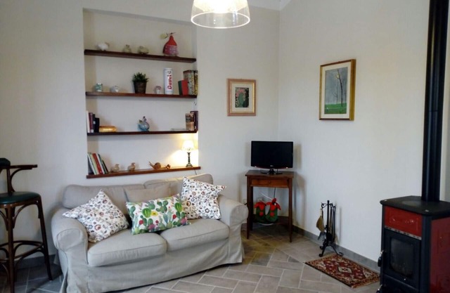 Immersed in the vineyard