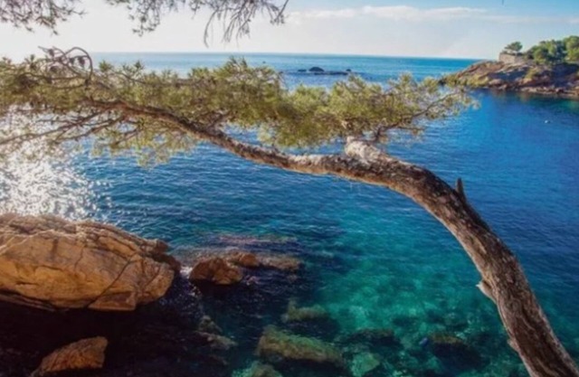 IN THE HEART OF THE CALANQUE DE FIGUIÈRES