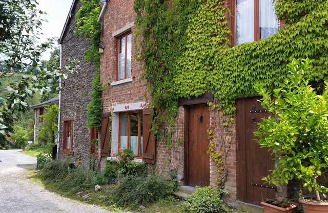 In the heart of nature, beautiful house to enjoy the peace and quiet on the farm with Wifi.