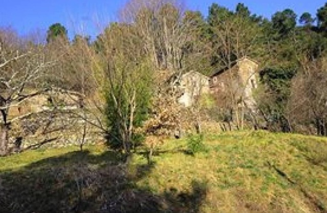 In the masses of Cevennes springs in the Cevennes in the Gard region Languedoc Roussillon.