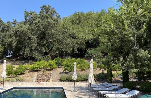 Incredible Estate on Sonoma Mountain