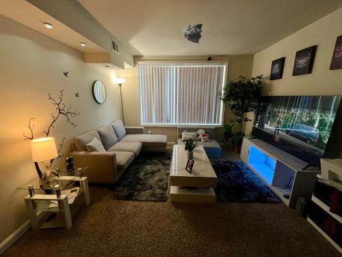 Incredible find near Washington DC - 1 Private room in shared apartment