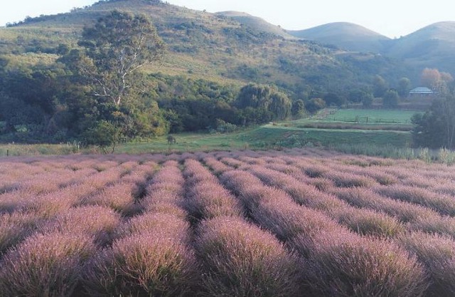 Inn on Robberpass Pilgrims Rest
