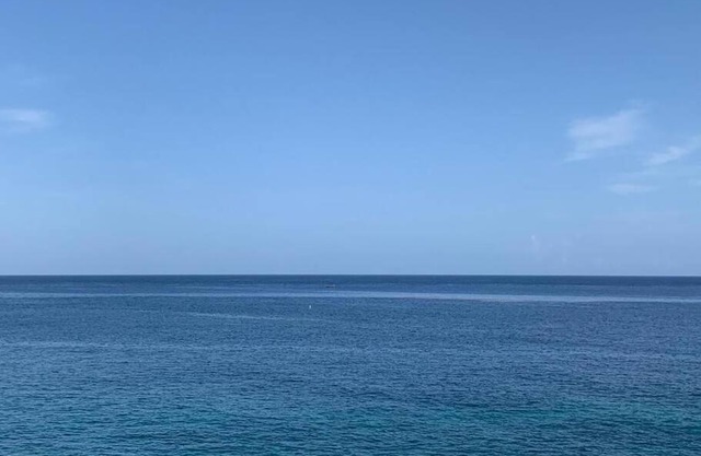 Irie Vibes Ocean View