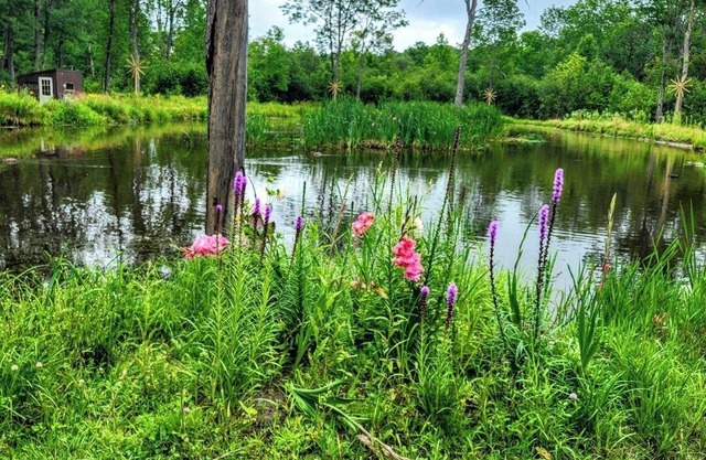 Jake's Place - A Peaceful and Private Wildlife Retreat. (hunt, fish and more!)