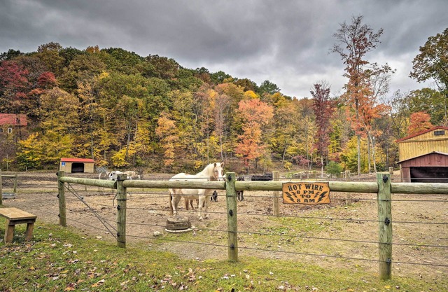 'James West' Apt w/50 Acres - Near Raystown Lake