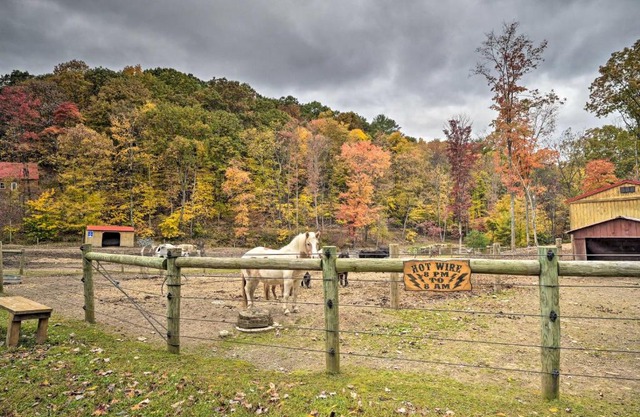 James West Apt with 50 Acres - Near Raystown Lake