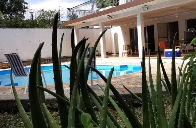 Jardin Merida