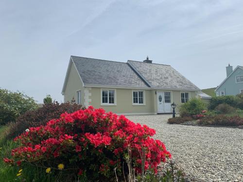 Joe's Place, Central Location West Cork near Clonakilty