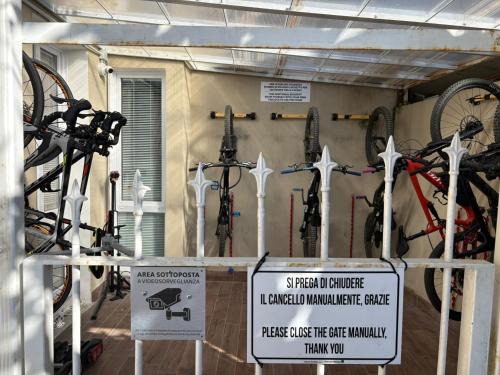 Joyfül Accomodation