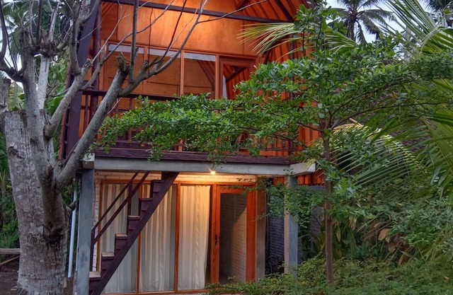Jungle House - surf & stay