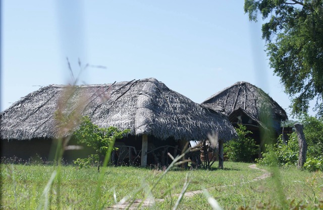 Jungle House Yala