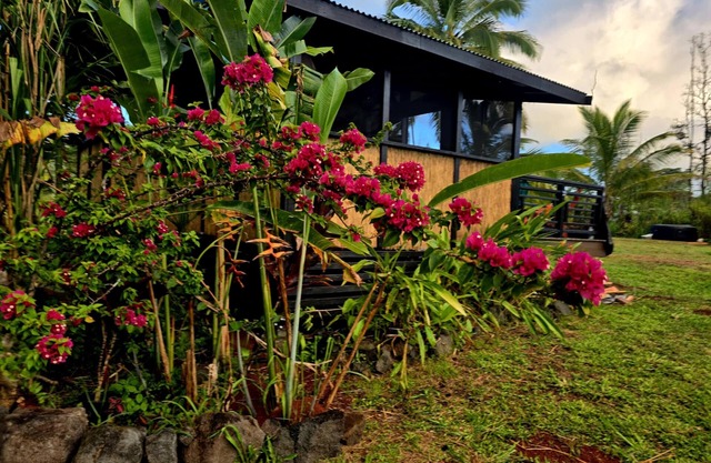 Jungle Tiki Ohana with Spa