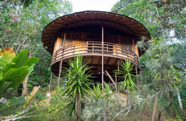 Junglebungalow - Dominical - Platanillo