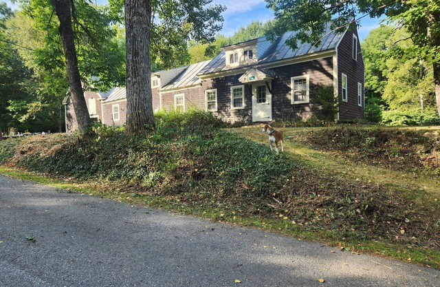 Just a step outside of the hustle & bustle