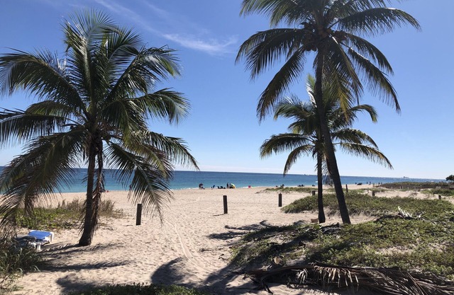 Just Steps to the Beach! Relax Across from the Ocean at Saltyside Bungalow