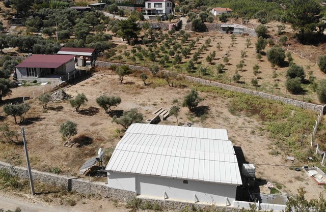 Kızılca xxx