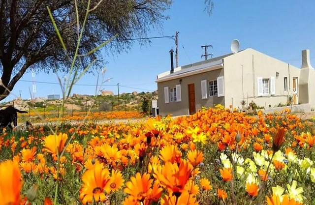 Kamieskroon Cosy Cottage