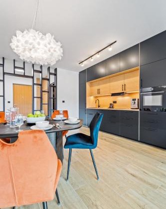 Karlín Diamond View & Garage