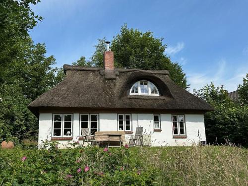 Kate unter Reet im Grünen