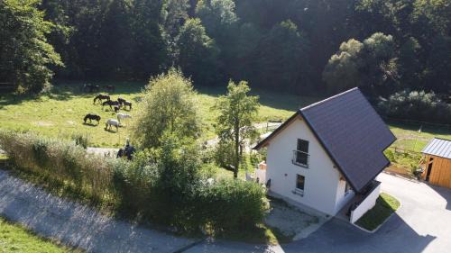 Kellerstöckl am Gut Kunterbunt