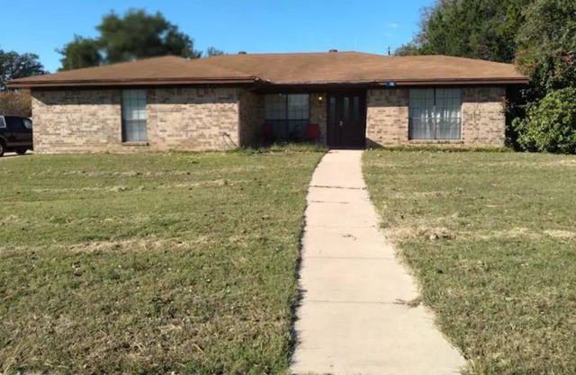 Kid friendly, pet friendly 3 BR house w/fireplace