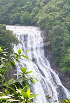 Kirindi Ella Eco Resort