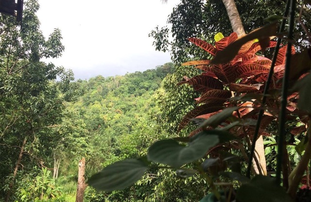 Knuckles Range - Aruni Villa