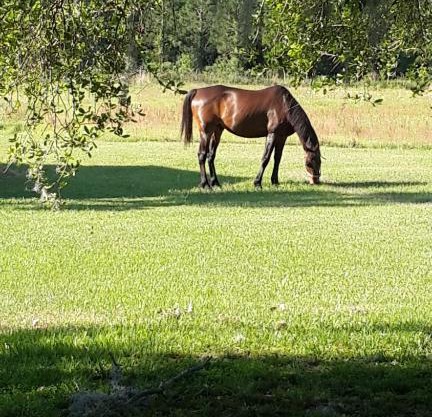 Kokomo Farms