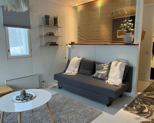 Kolin Pikkukolo - Saunallinen studiohuoneisto