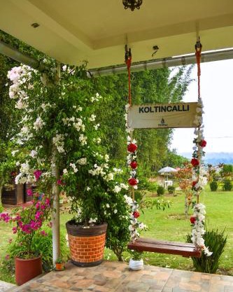 Koltincalli