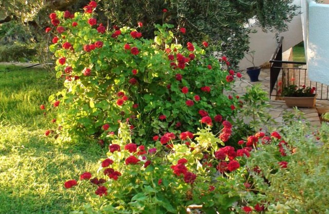 Koroni Village