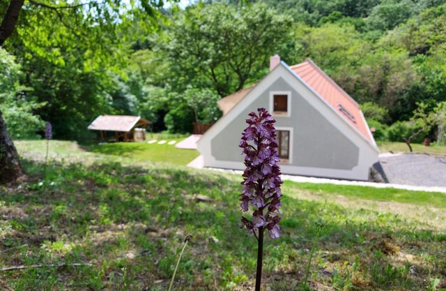 Kosbor Vendégház