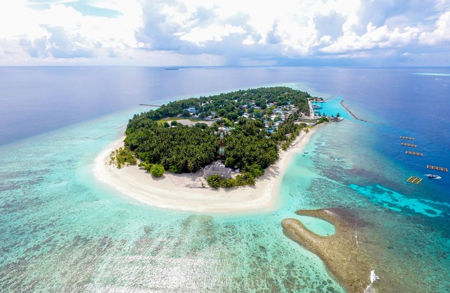 Kuri Beach View Inn