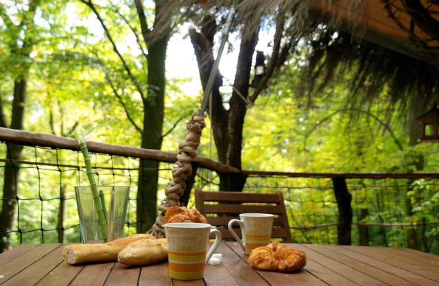 L'Arbre à Cabane