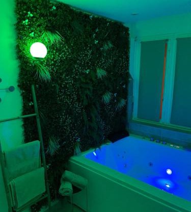 L'extasia appartement,spa jacuzzi Grenoble