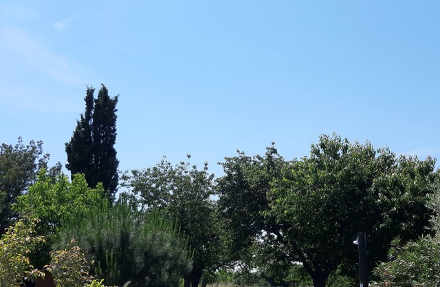 L'OUSTALET in the countryside near the town .