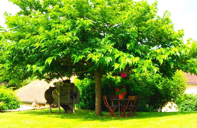 La Belle Verte