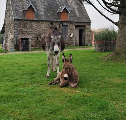 La Billardière Camping à la Ferme