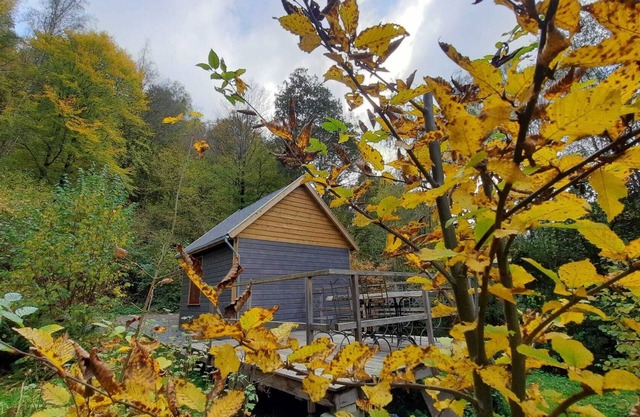 La cabane de Léon - Hébergement insolite