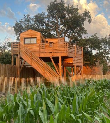 La Cabane dans les Arbres - Les Pieds dans le Pré
