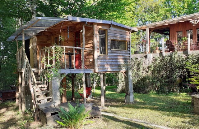 La cabane de l'oiseau