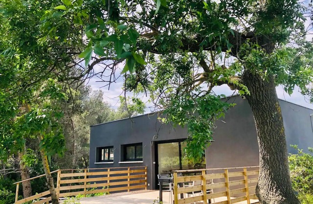 « La Cabane » Mur de Verre Xxl, vue Panoramique